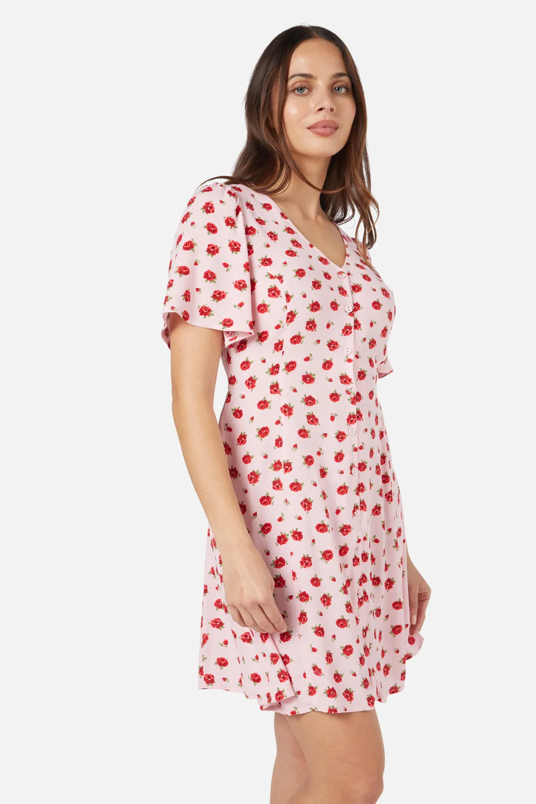 Baby Roses Mini Dress