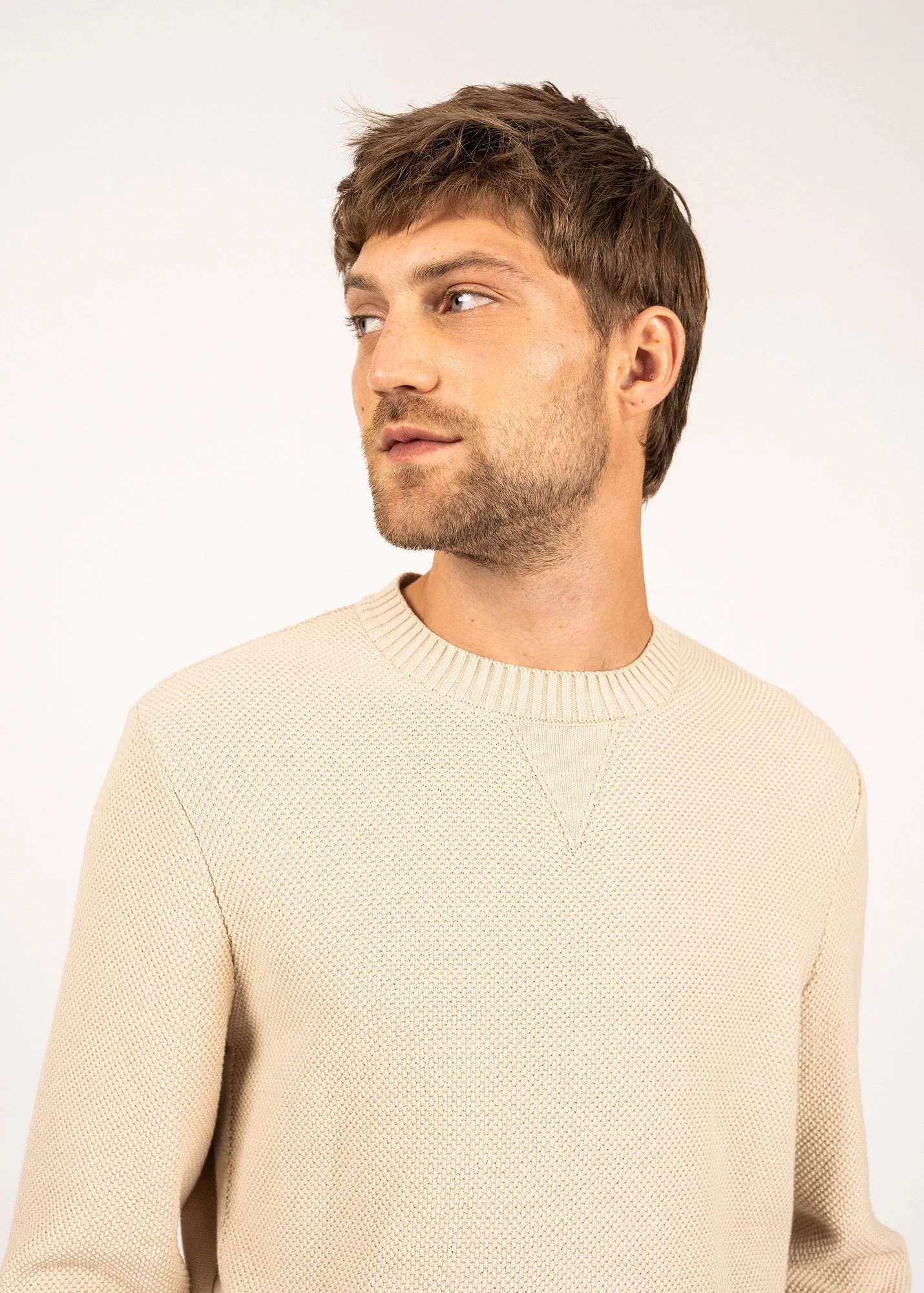 Jobourg cotton jumper - round neck, long sleeves (PLAGE)