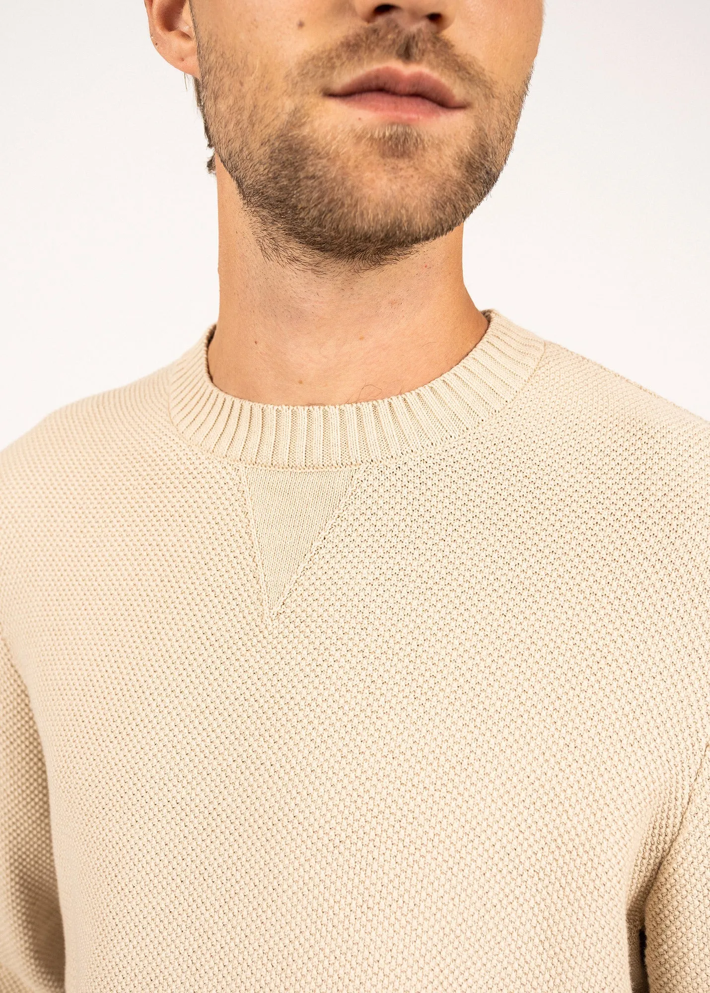 Jobourg cotton jumper - round neck, long sleeves (PLAGE)